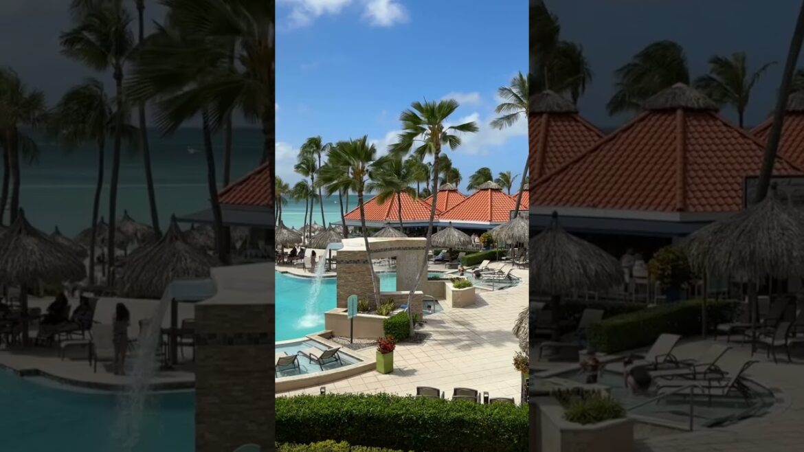 Playa Linda Beach Resort Aruba #aruba #beach #morningsunrise #travel