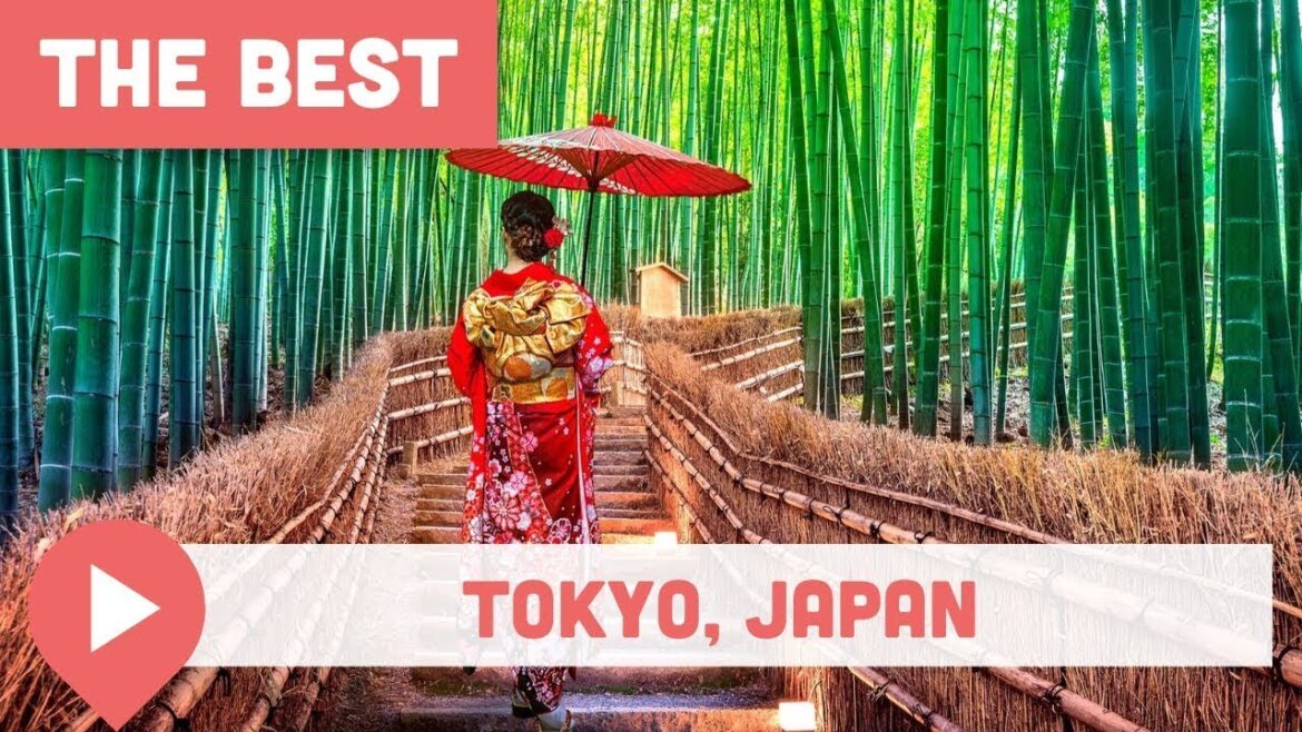 Best Things to Do in Tokyo, Japan