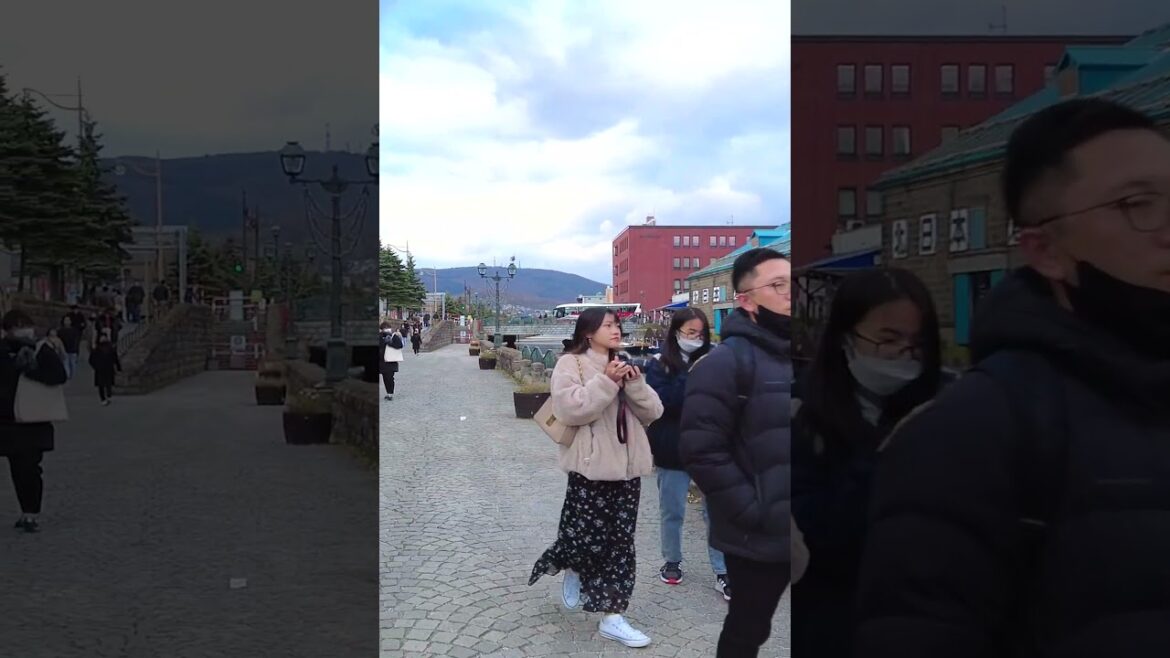 Odori River #japan #travel #discoverjapan Odori River #japan #travel #discoverjapan