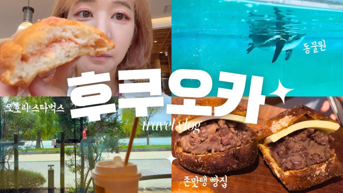 후쿠오카 동물원 다녀왔어요🐬 힐링 그 잡채🥰롯폰마츠 존맛탱 빵집🥐 오호리 공원 스타벅스☕️ 일본 김밥천국 요시노야, 만다라케, 후쿠오카 쇼핑리스트🎁 후쿠오카 ep.5