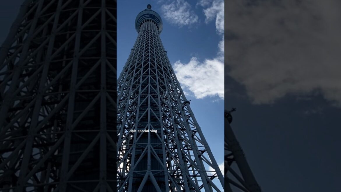 🇯🇵🇯🇵Japan Trip 2023 || Tokyo Sky Tree 🗼|| Tokyo Japan