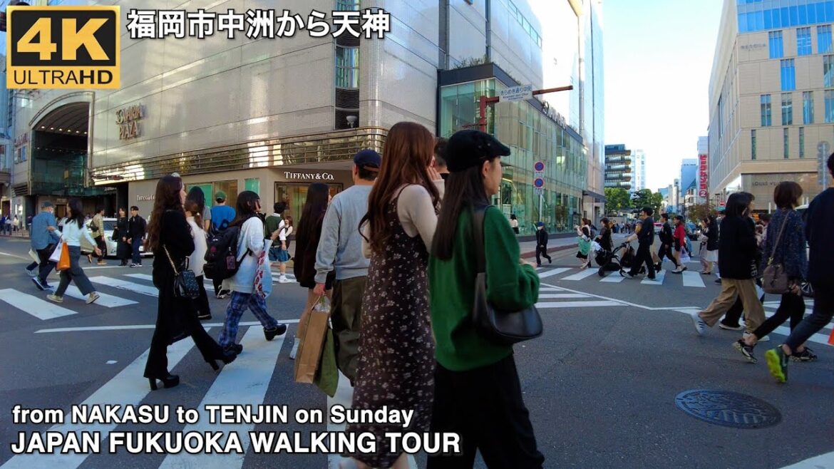 福岡市中洲から天神へ歩く4k japan walking tour Fukuoka city from Nakasu to Tenjin area