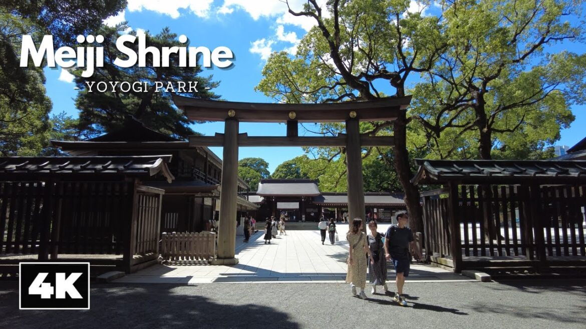 Exploring Meiji Jingu Shrine, Tokyo || [4K] Ambient Walk
