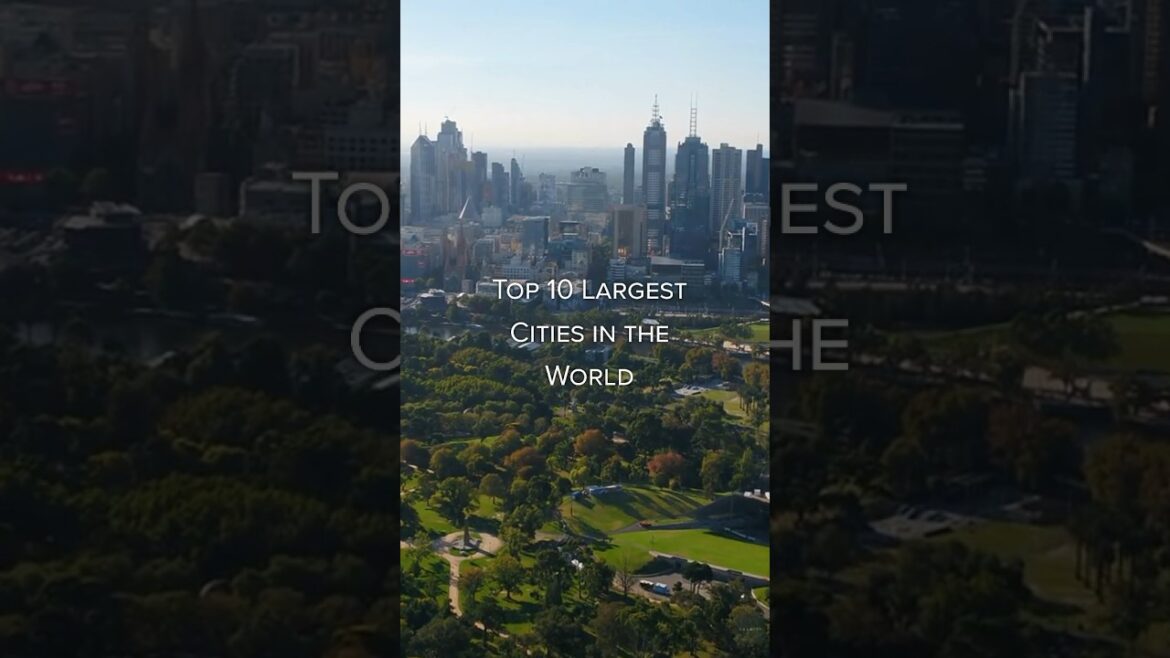 Discover the Top 10 Largest Cities in the World 🌍 #travel #destinations #shorts Discover the Top 10 Largest Cities in the World 🌍 #travel #destinations #shorts