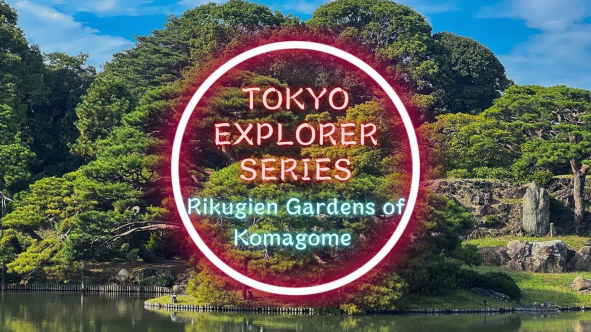 Exploring Rikugien Gardens 🌸, Tokyo's Hidden Gem | Tokyo Explorer Series 2023