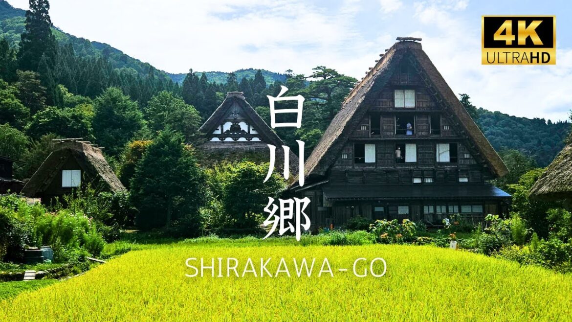 白川乡 Shirakawa-go, A Beautiful Village in Japan 白川郷 白川乡 Shirakawa-go, A Beautiful Village in Japan 白川郷