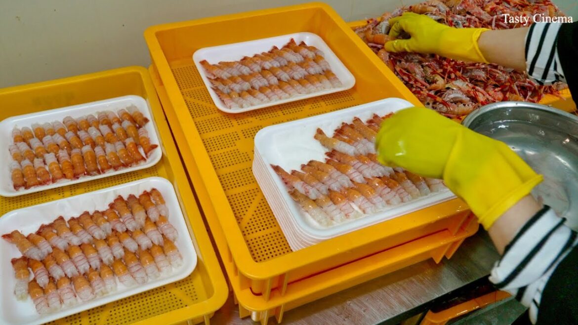 How 10 Dollar a Plate Mini Lobster Sashimi is made – Street Food in Dongmun Market How 10 Dollar a Plate Mini Lobster Sashimi is made - Street Food in Dongmun Market