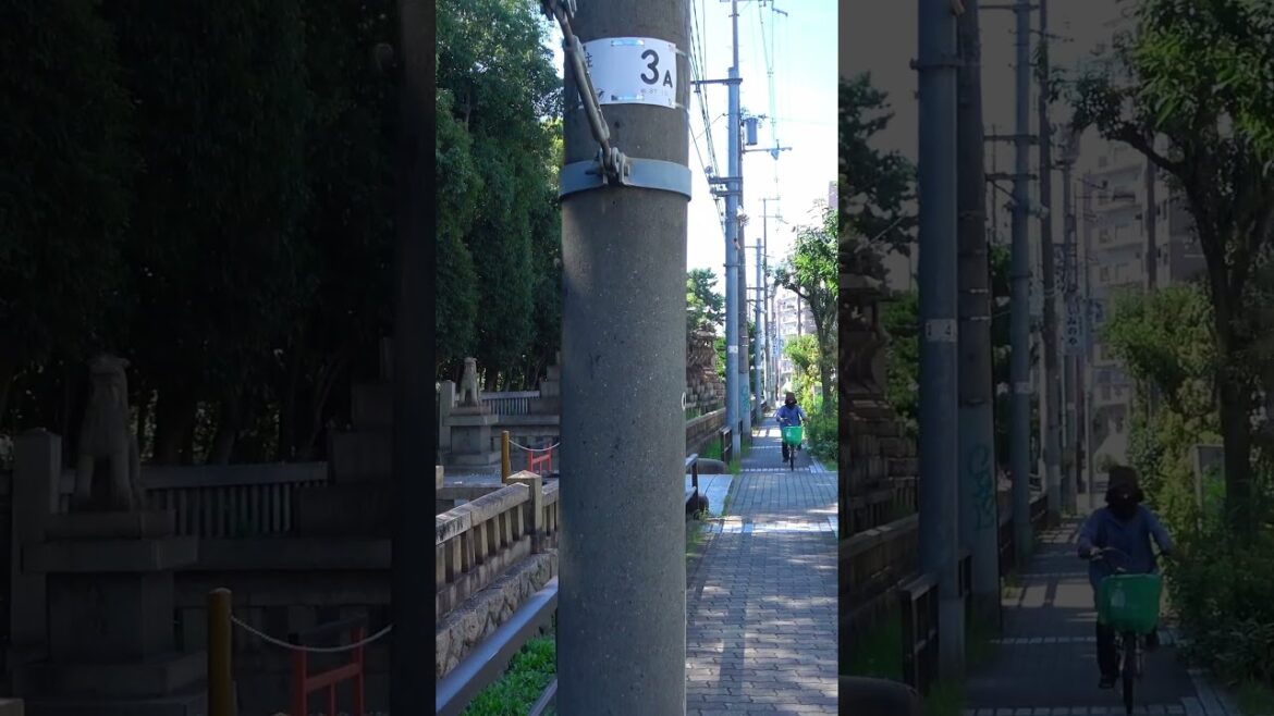 [shorts] Take a walk near the temple - Osaka Kishisato Tamade - 2 #shorts #walking #japantravel