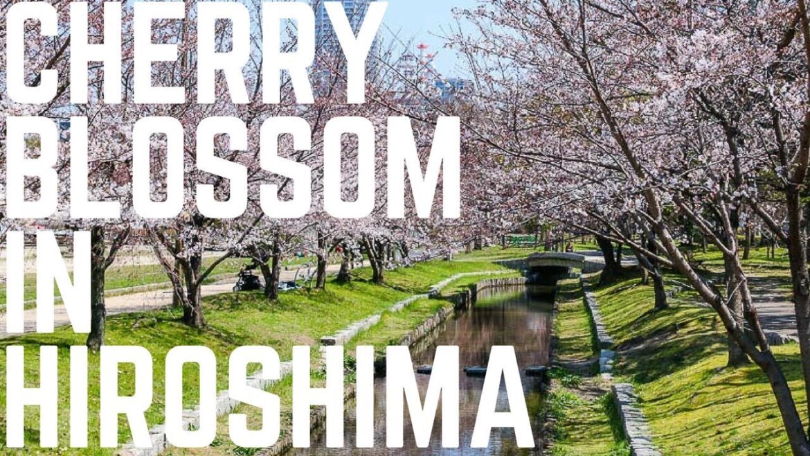ATOMIC BOMB DOME & PEACE PARK – CHERRY BLOSSOM – THINGS TO DO IN HIROSHIMA, JAPAN ATOMIC BOMB DOME & PEACE PARK - CHERRY BLOSSOM - THINGS TO DO IN HIROSHIMA, JAPAN