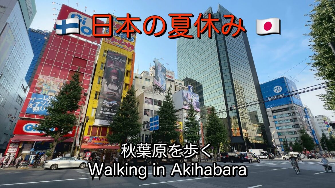 Walking in Akihabara, Tokyo / 秋葉原を歩く. Every Otaku’s heaven! 🎰🕹️ #japan #tokyo #akihabara Walking in Akihabara, Tokyo / 秋葉原を歩く. Every Otaku’s heaven! 🎰🕹️ #japan #tokyo #akihabara