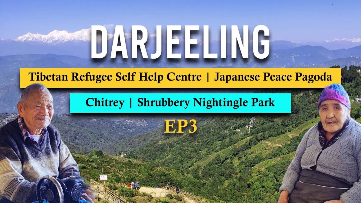 Darjeeling Sight Seeing|Tibetan Refugee Self Help Centre|Nightingle Park | Japanese Peace Pagoda EP3