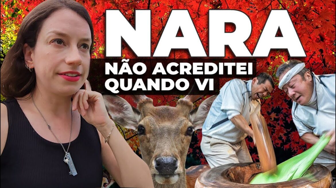 SÓ ACONTECE NO JAPÃO! Conheça a cidade invadida por ANIMAIS SELVAGENS! O que fazer em Nara