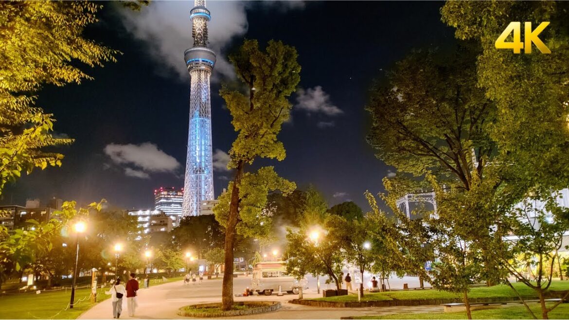 The Mesmerizing Night Lights of Tokyo: Exploring the Skytree in 4K