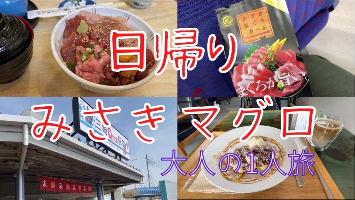 【京急のみさきまぐろきっぷの旅】食い倒れ日帰り旅行！観光・グルメ・絶景の桜・〜大人のひとり旅〜Solo Trip To  Misaki City Kanagawa ,Japan vlog