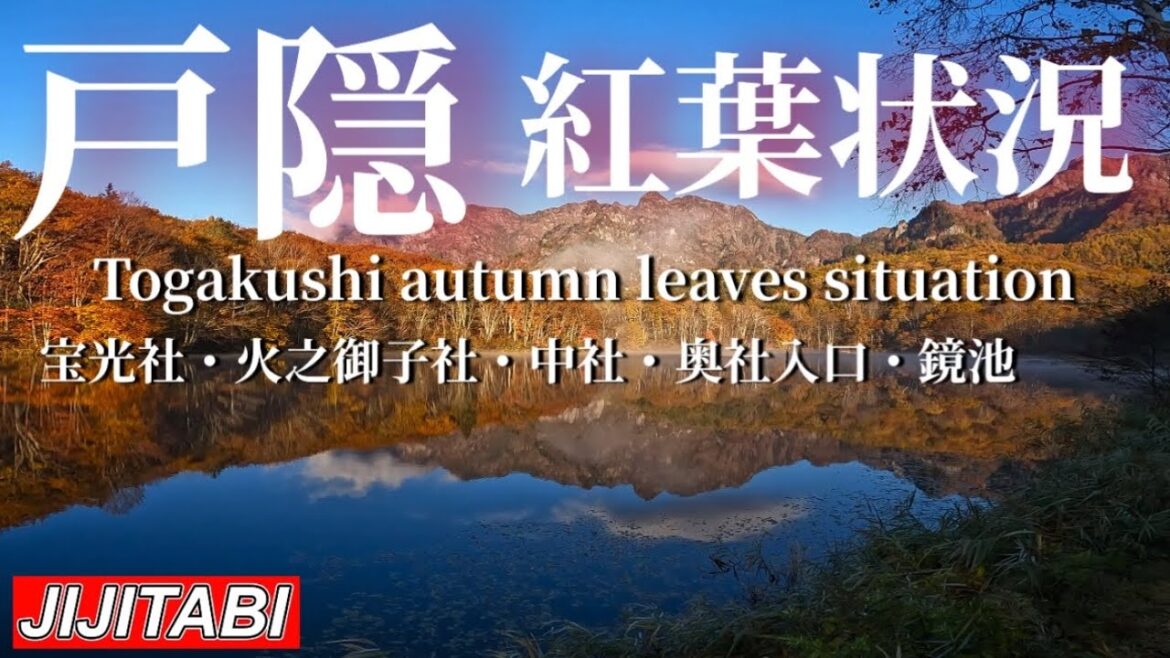 【長野紅葉情報】戸隠の紅葉宝光社・火之御子社・中社・奥社・鏡池紅葉状況撮影日2023.10.26 [Nagano Autumn Foliage Information] Togakushi