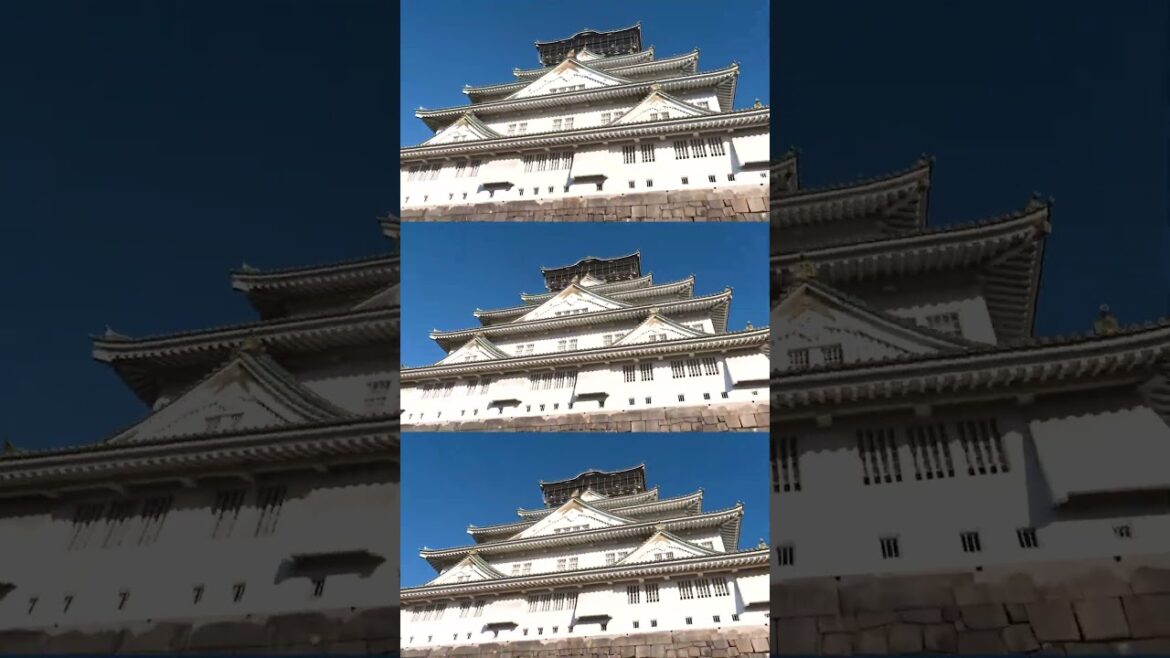 🇯🇵 Osaka Castle 大阪城 #japan #osaka #osakacastle #explorejapan #hyperlapse #shorts #japantravel