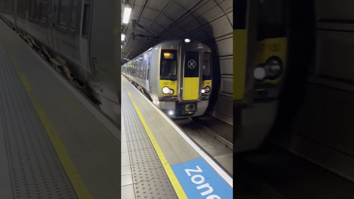 london tour #shorts #viral london tour #shorts #viral