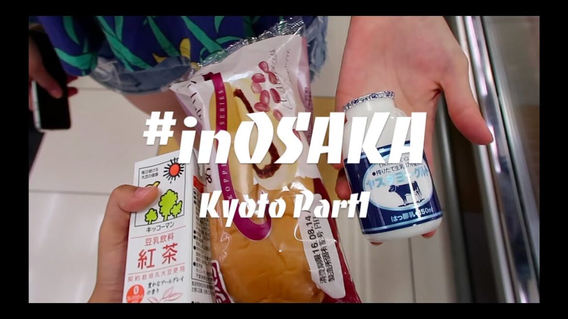 KYOTO DAY TRIP PART1 | Rachel Song