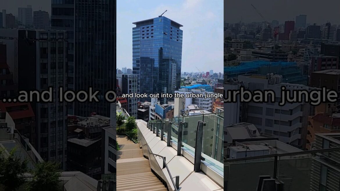 Underrated City View From Shibuya PARCO Looking over SHIBUYA TOKYO #shorts #japan #tokyo