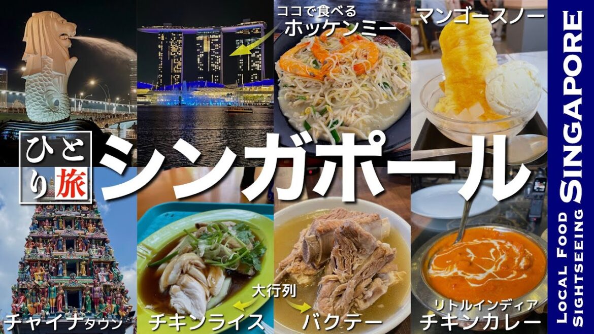 【シンガポールグルメ&観光|アラフィフ男のひとり旅】シンガポールでひとり飲み チキンライス・バクテー・スイーツ・地元の名物グルメを食す動画【シンガポール・ひとり旅・観光・Singapore・Trip】 【シンガポールグルメ&観光|アラフィフ男のひとり旅】シンガポールでひとり飲み チキンライス・バクテー・スイーツ・地元の名物グルメを食す動画【シンガポール・ひとり旅・観光・Singapore・Trip】