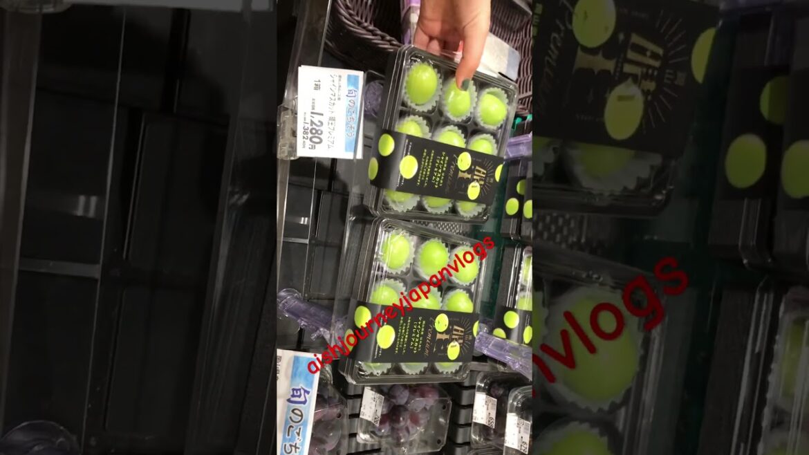 Premium Grapes Shine Muscat #trending #shorts #aishjourneyjapanvlogs