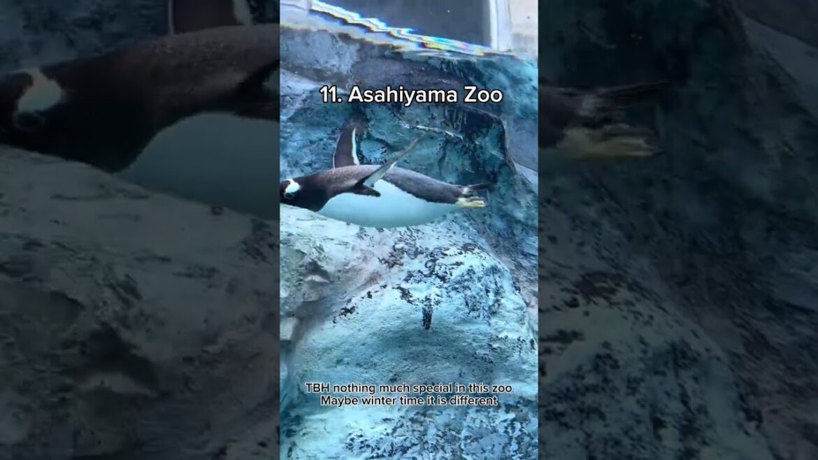 Hidden gems: Unveiling Japan’s top 17 must-see destinations Hidden gems: Unveiling Japan's top 17 must-see destinations