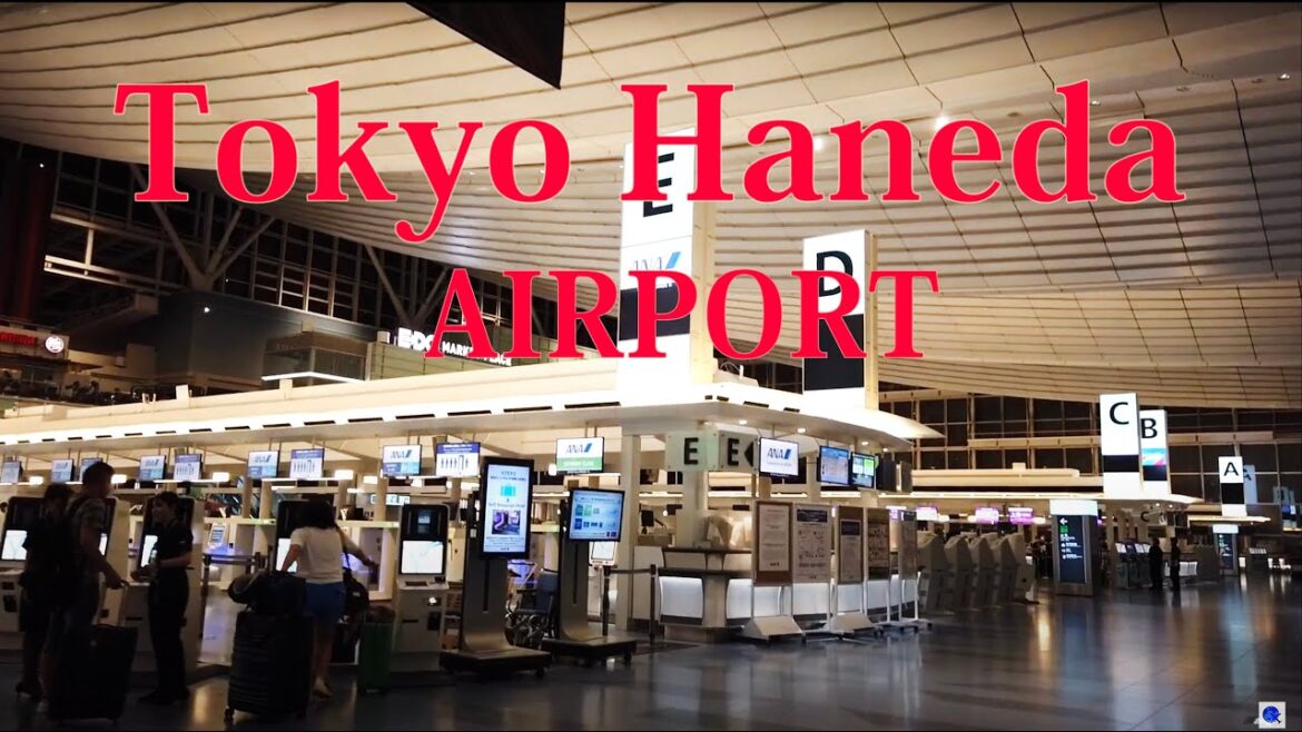 【Airport Tour】2023 Tokyo Haneda Airport Terminal 3 Check-in and Arrival Area