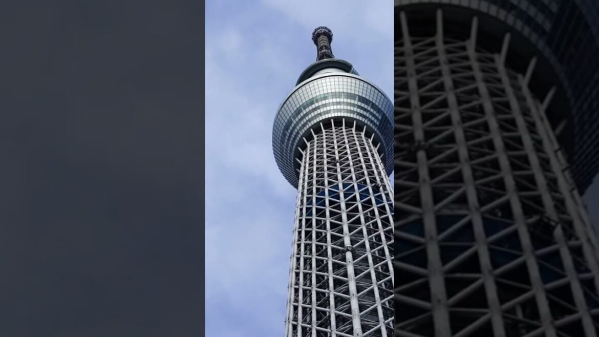 Japan Tokyo Skytree amazing view ! #shorts #travel #japan #tokyoskytree Japan Tokyo Skytree amazing view ! #shorts #travel #japan #tokyoskytree