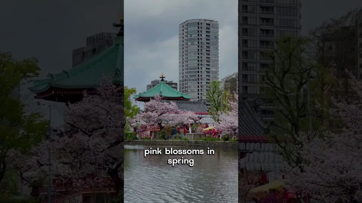 Japan #3 - Zen Aesthetics and Tranquil Landscapes #travel #Pop-upPassport