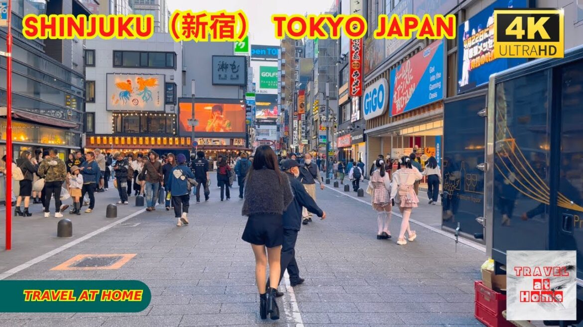 4k hdr japan travel | Walk in Shinjuku（新宿）Tokyo Japan |  Relaxing Natural City ambience