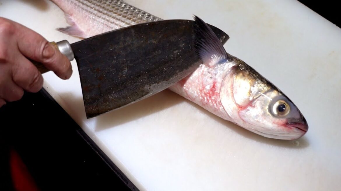 Crazy skill Amazing trout, flounder cutting master / Korea Guri Fish Market / Flatfish +Mullet +Eel