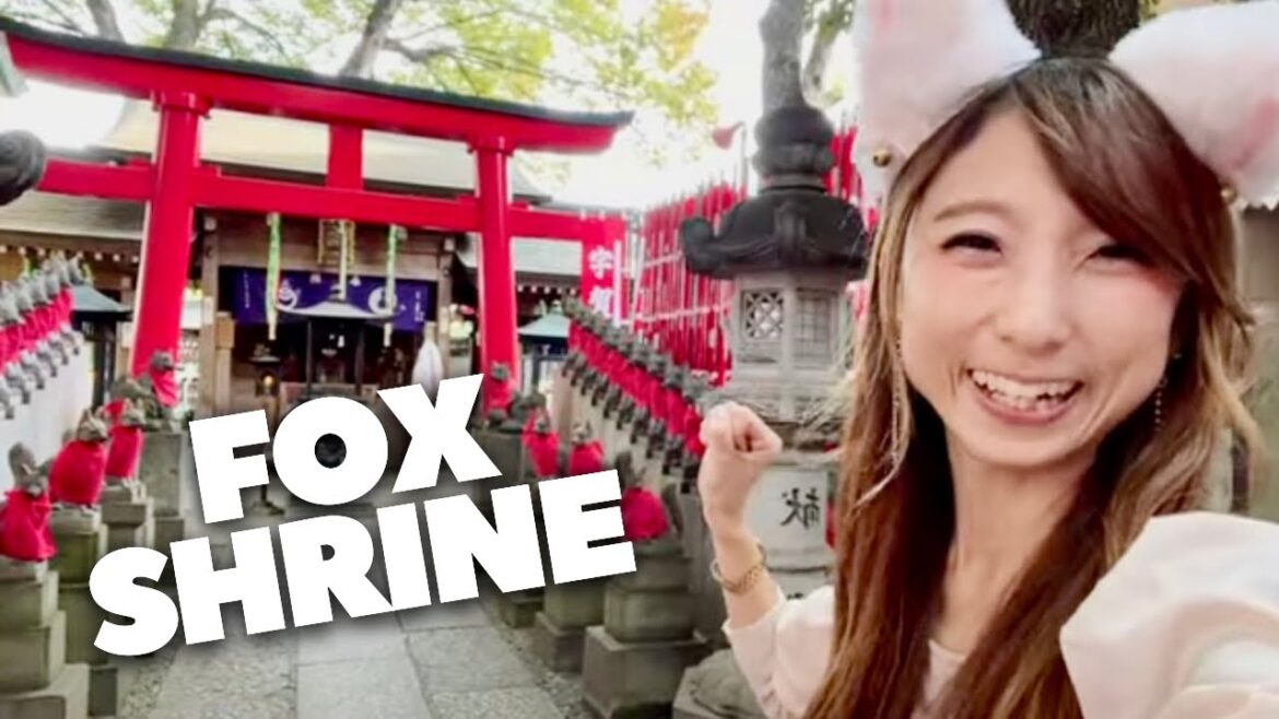 Live Walk – Tokyo Wednesday Afternoon | AKASAKA Live Walk - Tokyo Wednesday Afternoon | AKASAKA