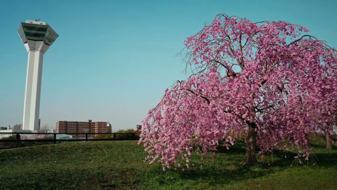 北海道 芽吹く春