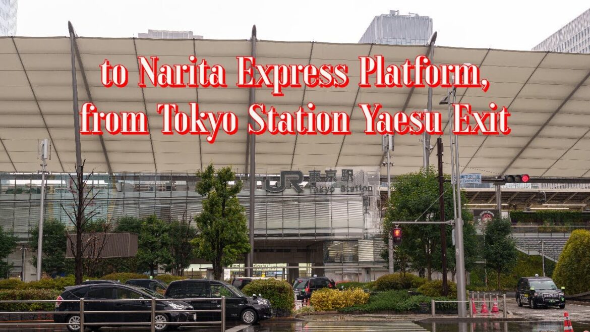 [5K Tokyo] Getting to Narita Express Platform, from Tokyo Station Yaesu Exit