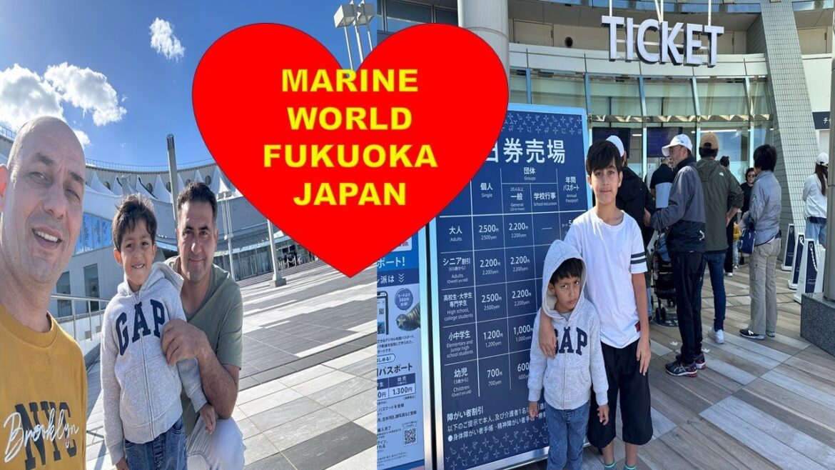 [4K]Dolphin Show @ marine world fukuoka  Japan 2023.