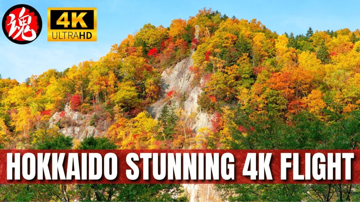 Stunning Autumn Aerials in Kamikawa, Hokkaido | 4K Drone Footage of Japan's Fall Beauty