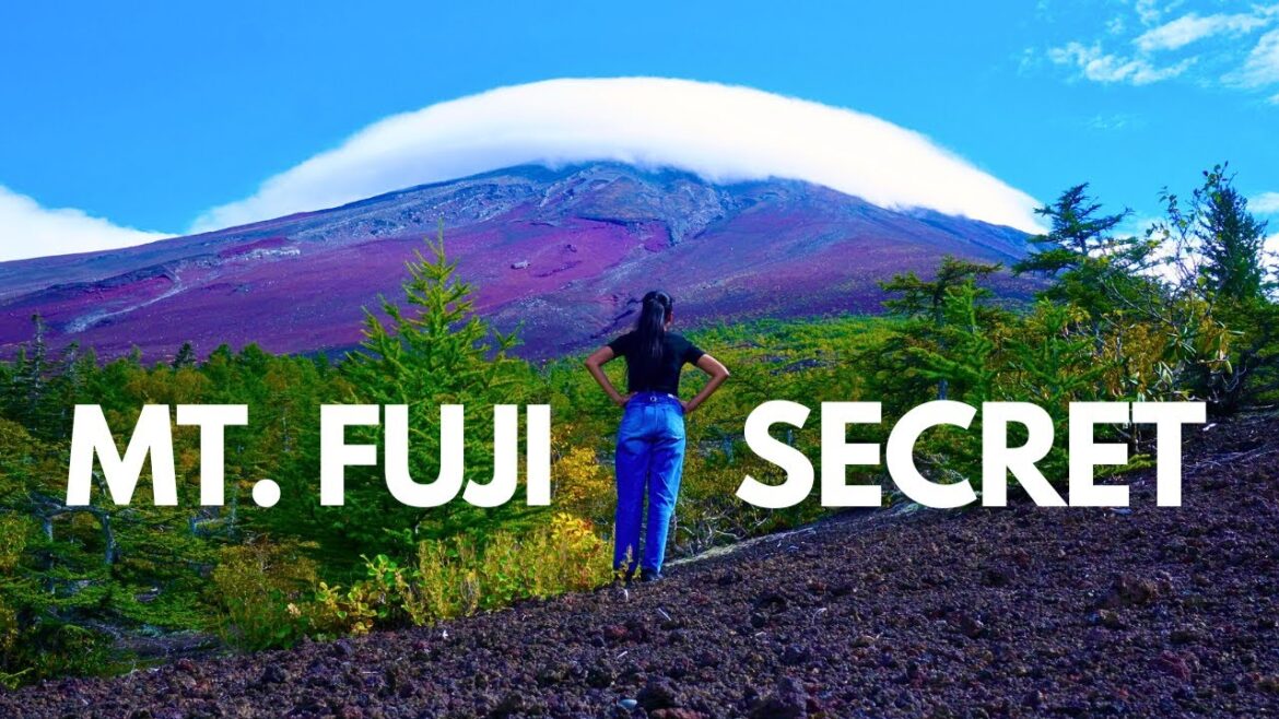 Mt. Fuji Secret Viewing Location 🗻 | One Day Trip to Explore Mt. Fuji in Yamanashi | 富士山