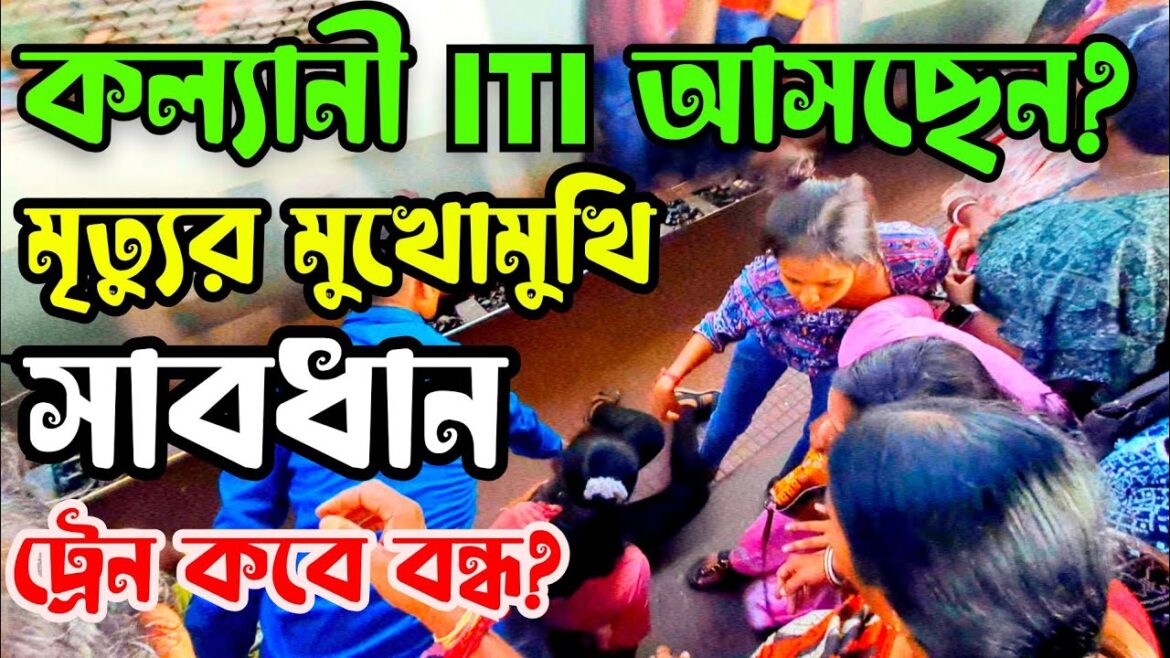 Kalyani iti more durga puja 2023|kalyani iti more| iti more durga puja|iti more vir @dafadarbabu Kalyani iti more durga puja 2023|kalyani iti more| iti more durga puja|iti more vir @dafadarbabu