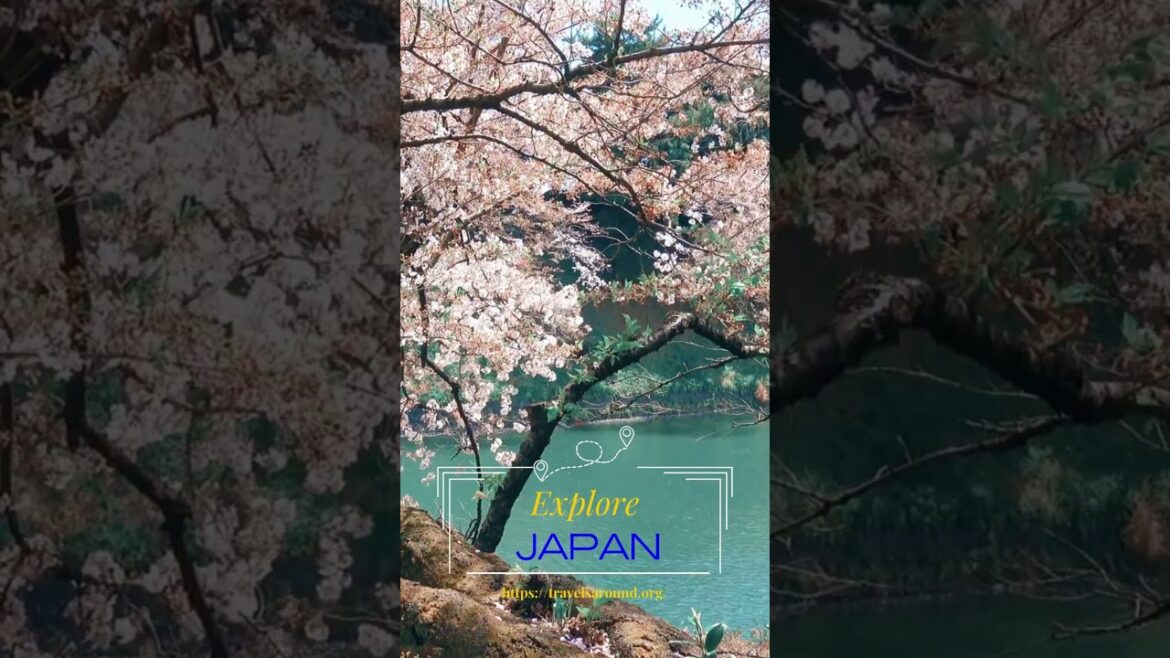 Ultimate Japan Travel Guide | How To Travel Japan #shorts #japantravel Ultimate Japan Travel Guide | How To Travel Japan #shorts #japantravel