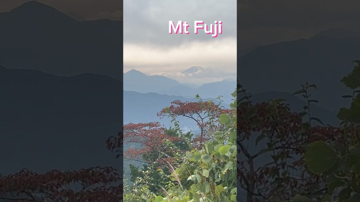 Mt Fuji lucky stunning Mt Takao view
