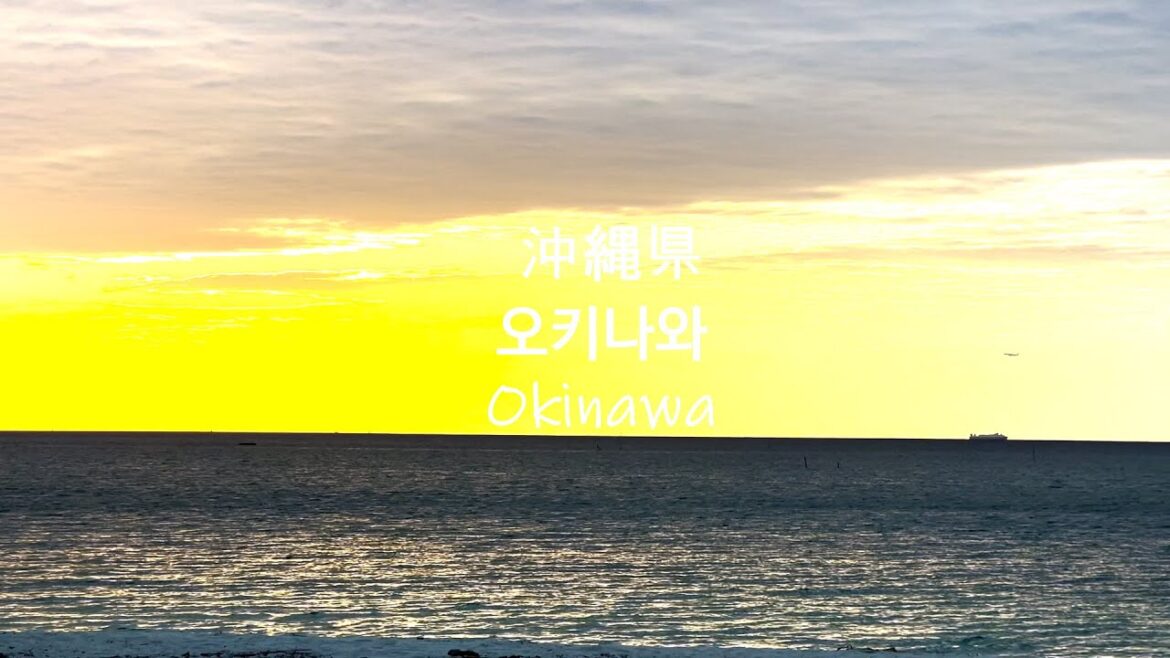 (HD) 오키나와 / Okinawa / 沖縄県 (2023.1.31 - 2023.2.7)