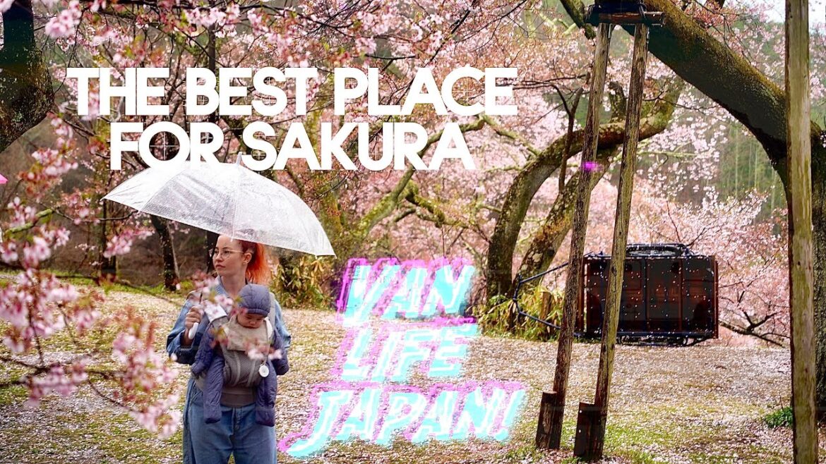 Takato Castle Ruins • #1 Place for CHERRY BLOSSOMS • Japan van life trip e9 Takato Castle Ruins • #1 Place for CHERRY BLOSSOMS • Japan van life trip e9