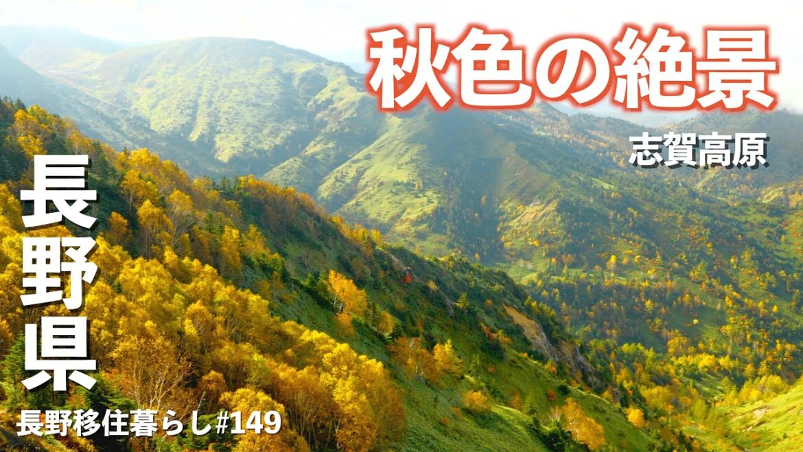 【長野移住】長野県に秋がやって来ました!!紅葉狩りはピークの志賀高原へ!!｜志賀高原｜紅葉｜ドライブ｜田舎暮らし｜長野県｜4K