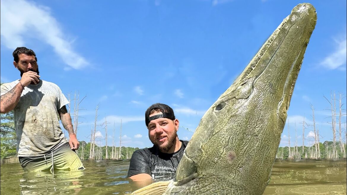 THIS RIVER MONSTER PULLED ME INTO THE WATER! (MY BIGGEST FISH EVER) THIS RIVER MONSTER PULLED ME INTO THE WATER! (MY BIGGEST FISH EVER)