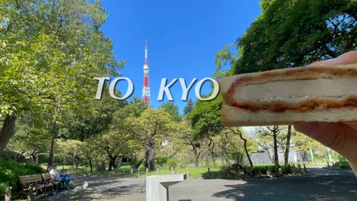 걸어서 도쿄속으로. 3박4일 도쿄 여행 🇯🇵 (긴자, 도쿄역, 시부야, 오모테산도, 하라주쿠) 걸어서 도쿄속으로. 3박4일 도쿄 여행 🇯🇵 (긴자, 도쿄역, 시부야, 오모테산도, 하라주쿠)