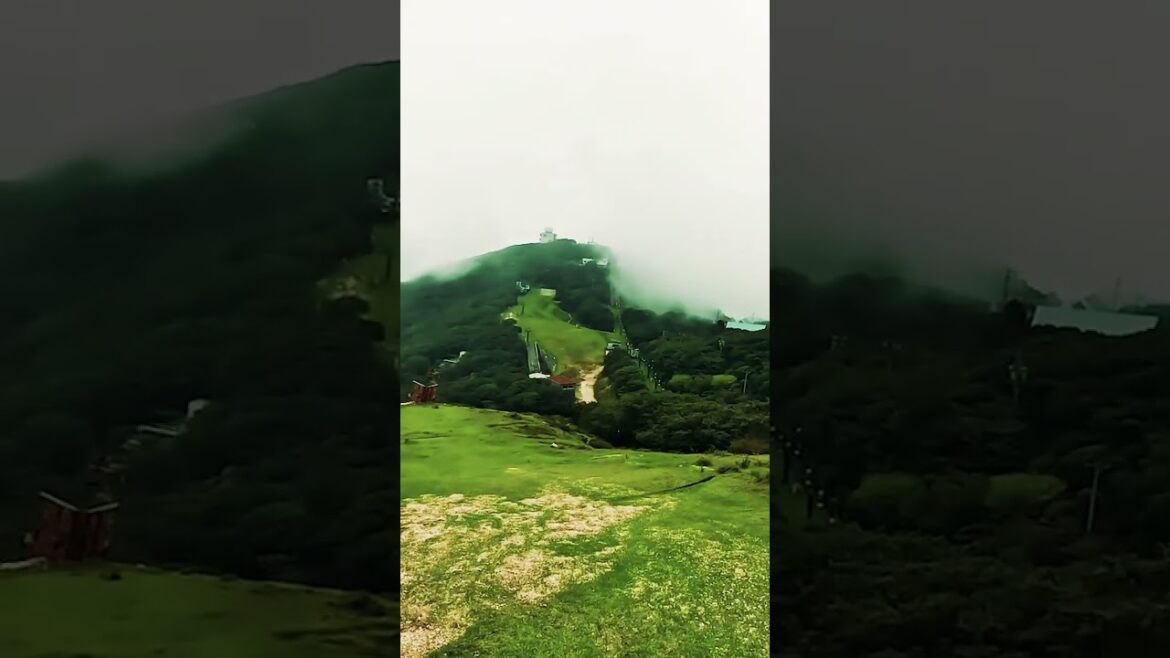 Mount Gozaisho #shorts #short #shortsvideo #shortsyoutube #shortvideo #shortsvideo #ropeway #御在所岳