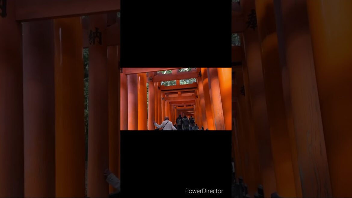【KYOTO】Fushimi Inari Walking #shorts