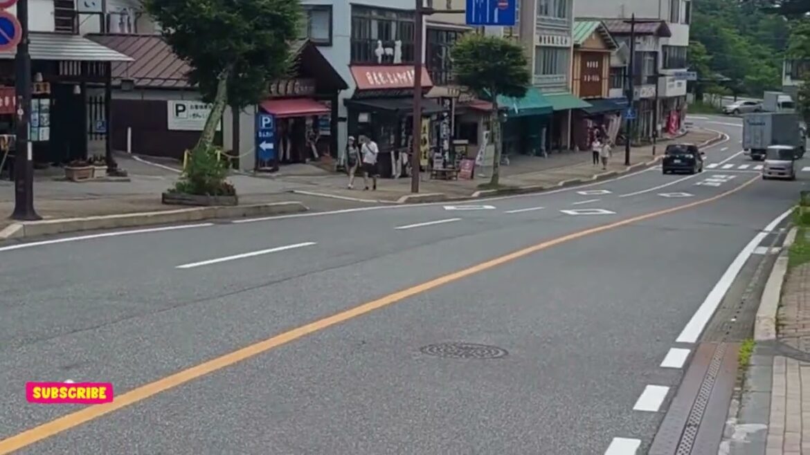 Day 2 : Tokyo to Nikko to see the biggest waterfall in Japan