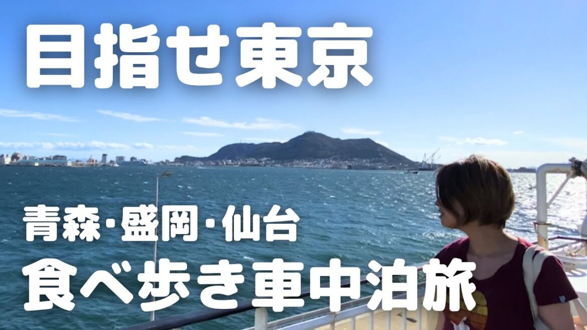 最終目的地は東京!東北でも満腹くいだおれツアー2泊3日車中泊旅 最終目的地は東京!東北でも満腹くいだおれツアー2泊3日車中泊旅