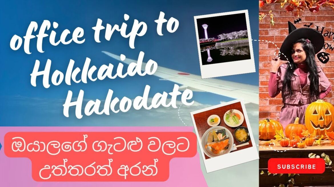 ජපන් එන්න හොදම විදිය මොකක්ද දන්නවද ? 🌷 | Office trip to Hakodate Hokkaido | 🌸 Nishu Gamage Vlogs🌸 ජපන් එන්න හොදම විදිය මොකක්ද දන්නවද ? 🌷 | Office trip to Hakodate Hokkaido | 🌸 Nishu Gamage Vlogs🌸